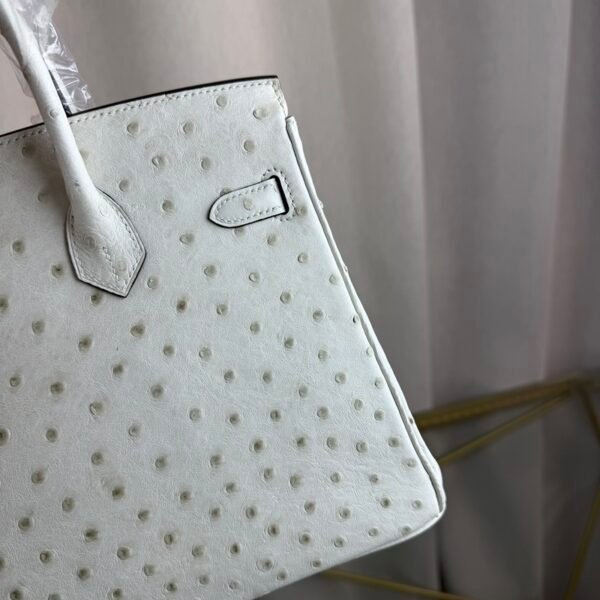 Birkin-25-Blanc-Ostrich-Gold-Hardware Birkin 25 Blanc Ostrich Gold Hardware bag