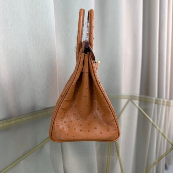 Birkin-25-Gold-Ostrich-Gold-Hardware Birkin 25 Gold Ostrich Gold Hardware bag