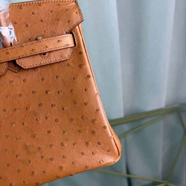 Birkin-25-Gold-Ostrich-Gold-Hardware Birkin 25 Gold Ostrich Gold Hardware bag