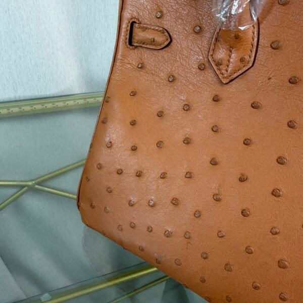 Birkin-25-Gold-Ostrich-Gold-Hardware Birkin 25 Gold Ostrich Gold Hardware bag