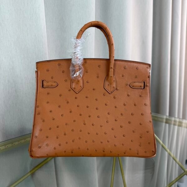 Birkin-25-Gold-Ostrich-Gold-Hardware Birkin 25 Gold Ostrich Gold Hardware bag