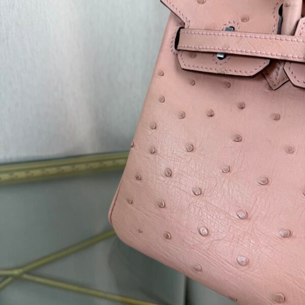 Birkin-20-Rose-Poudre-Ostrich-Palladium-Hardware Birkin 20 Rose Poudre Ostrich Palladium Hardware bag