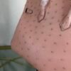 Birkin-20-Rose-Poudre-Ostrich-Palladium-Hardware Birkin 20 Rose Poudre Ostrich Palladium Hardware bag