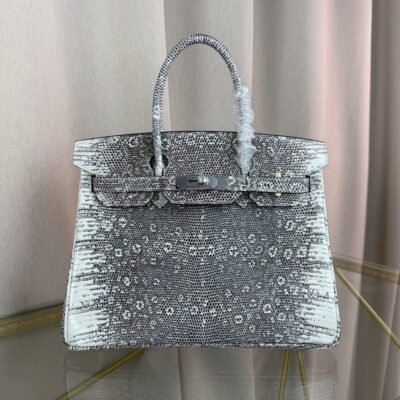 Birkin-30-Ombre-Lizard-Palladium-Hardware Birkin 30 Ombre Lizard Palladium Hardware bag