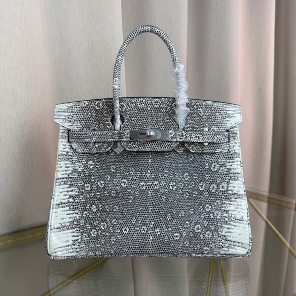 Birkin-30-Ombre-Lizard-Palladium-Hardware Birkin 30 Ombre Lizard Palladium Hardware bag