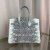 Birkin-30-Ombre-Lizard-Palladium-Hardware Birkin 30 Ombre Lizard Palladium Hardware bag