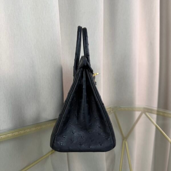 Birkin 25 in Black Ostrich with Gold Hardware. Birkin 25 Black Ostrich Gold Hardware bag