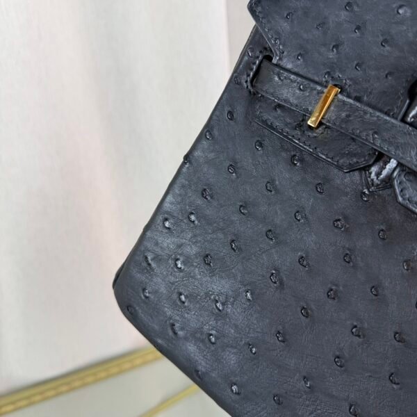 Birkin 25 in Black Ostrich with Gold Hardware. Birkin 25 Black Ostrich Gold Hardware bag