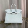 Birkin-25-Glacier-White-Ostrich-Palladium-Hardware Birkin 25 Glacier White Ostrich Palladium Hardware bag