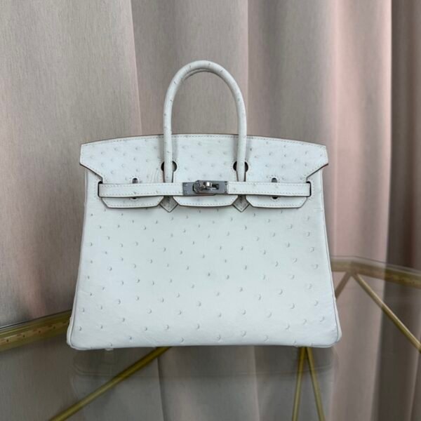 Birkin-25-Glacier-White-Ostrich-Palladium-Hardware Birkin 25 Glacier White Ostrich Palladium Hardware bag