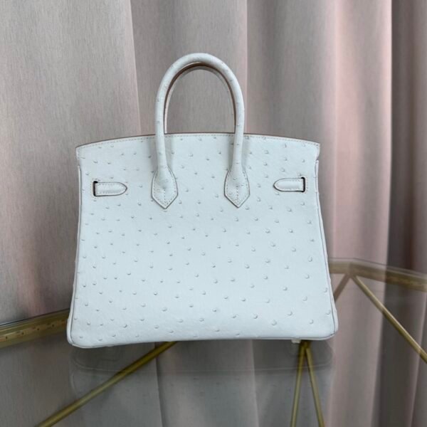 Birkin-25-Glacier-White-Ostrich-Palladium-Hardware Birkin 25 Glacier White Ostrich Palladium Hardware bag