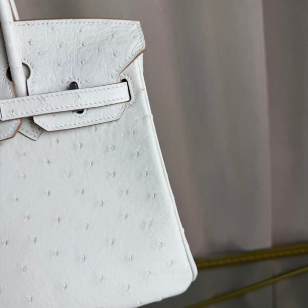 Birkin-25-Glacier-White-Ostrich-Palladium-Hardware Birkin 25 Glacier White Ostrich Palladium Hardware bag