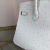 Birkin-25-Glacier-White-Ostrich-Palladium-Hardware Birkin 25 Glacier White Ostrich Palladium Hardware bag