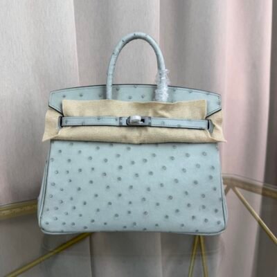 Birkin-25-Glacier-White-Ostrich-Palladium-Hardware Birkin 25 Glacier White Ostrich Palladium Hardware bag