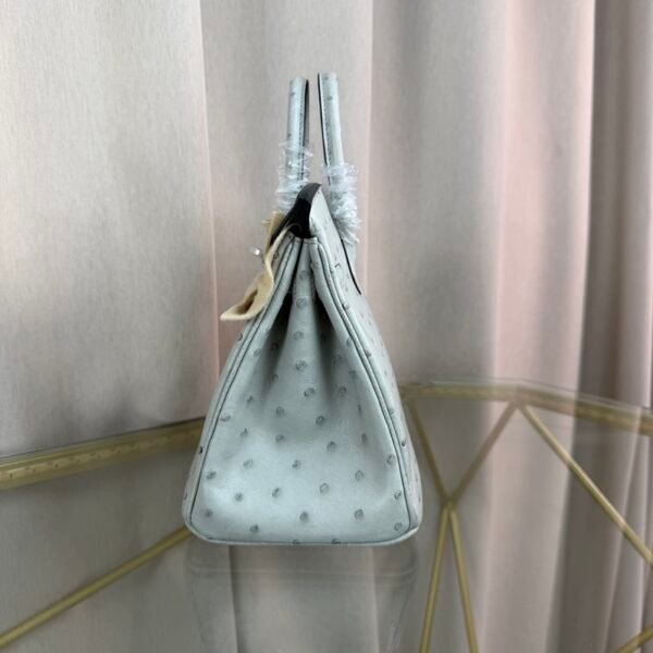 Birkin-25-Glacier-White-Ostrich-Palladium-Hardware Birkin 25 Glacier White Ostrich Palladium Hardware bag