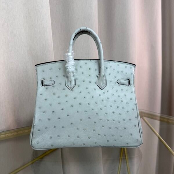 Birkin-25-Glacier-White-Ostrich-Palladium-Hardware Birkin 25 Glacier White Ostrich Palladium Hardware bag