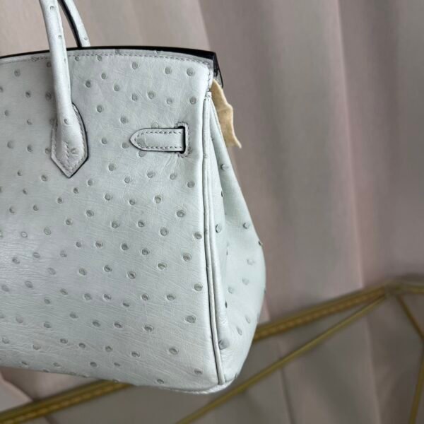 Birkin-25-Glacier-White-Ostrich-Palladium-Hardware Birkin 25 Glacier White Ostrich Palladium Hardware bag
