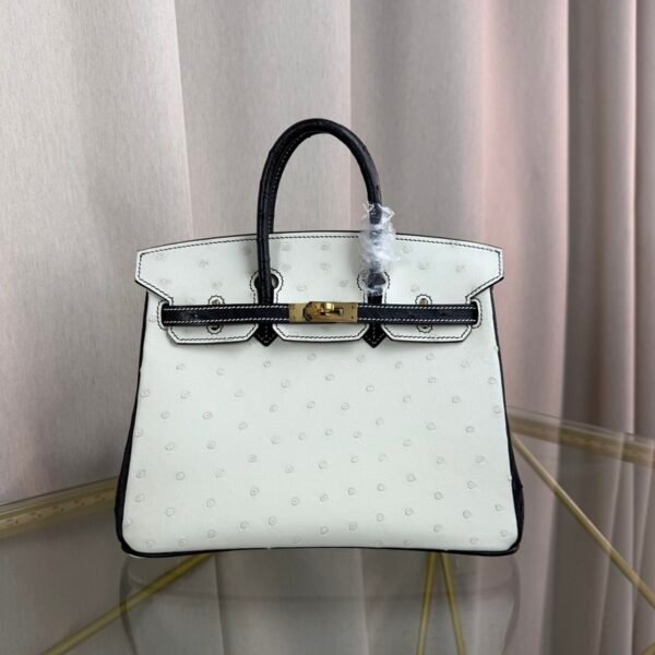 Birkin-25-Blanc-Black-Ostrich-Gold-Hardware Birkin 25 Blanc Black Ostrich Gold Hardware bag