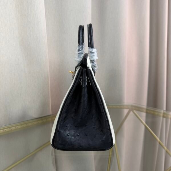 Birkin-25-Blanc-Black-Ostrich-Gold-Hardware Birkin 25 Blanc Black Ostrich Gold Hardware bag