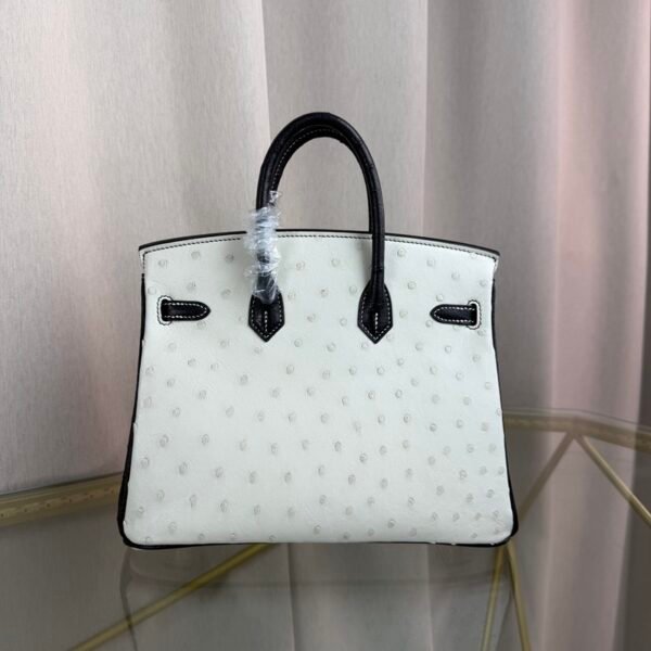 Birkin-25-Blanc-Black-Ostrich-Gold-Hardware Birkin 25 Blanc Black Ostrich Gold Hardware bag