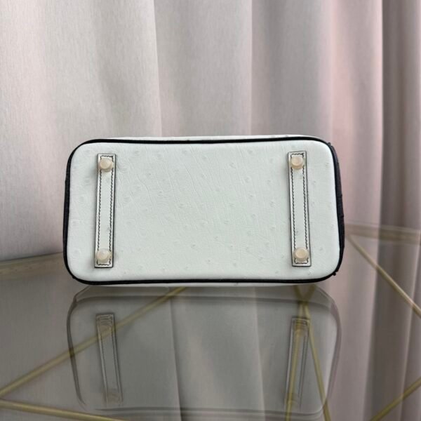 Birkin-25-Blanc-Black-Ostrich-Gold-Hardware Birkin 25 Blanc Black Ostrich Gold Hardware bag