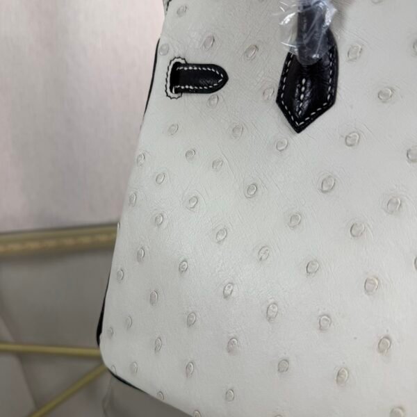 Birkin-25-Blanc-Black-Ostrich-Gold-Hardware Birkin 25 Blanc Black Ostrich Gold Hardware bag
