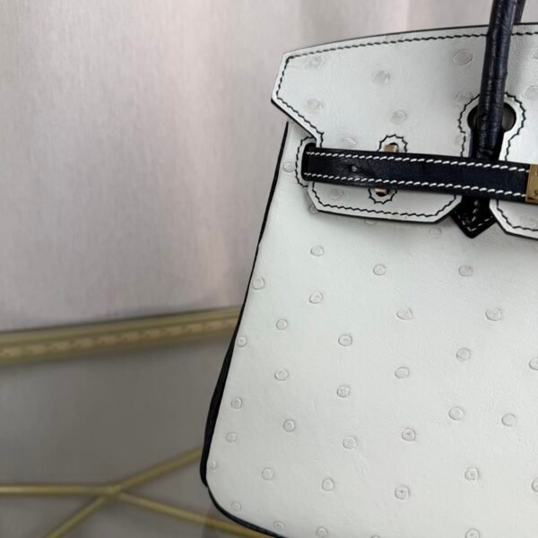 Birkin-25-Blanc-Black-Ostrich-Gold-Hardware Birkin 25 Blanc Black Ostrich Gold Hardware bag