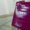 Kelly-Sellier-25-Anemone-Shiny-Alligator-Gold-Hardware Kelly Sellier 25 Anemone Shiny Alligator Gold Hardware bag
