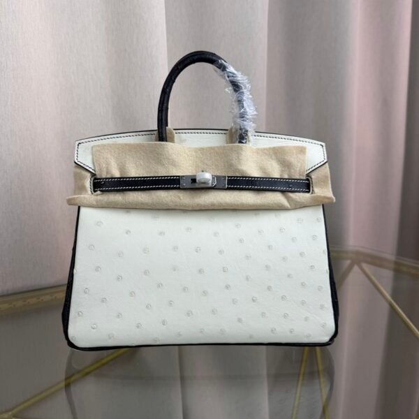 Birkin 25 Retourne Style Blanc Black Ostrich Palladium Hardware bag