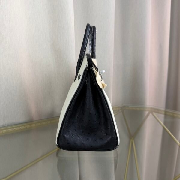 Birkin 25 Retourne Style Blanc Black Ostrich Palladium Hardware bag