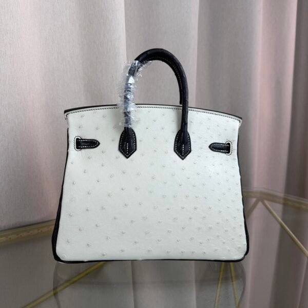 Birkin 25 Retourne Style Blanc Black Ostrich Palladium Hardware bag