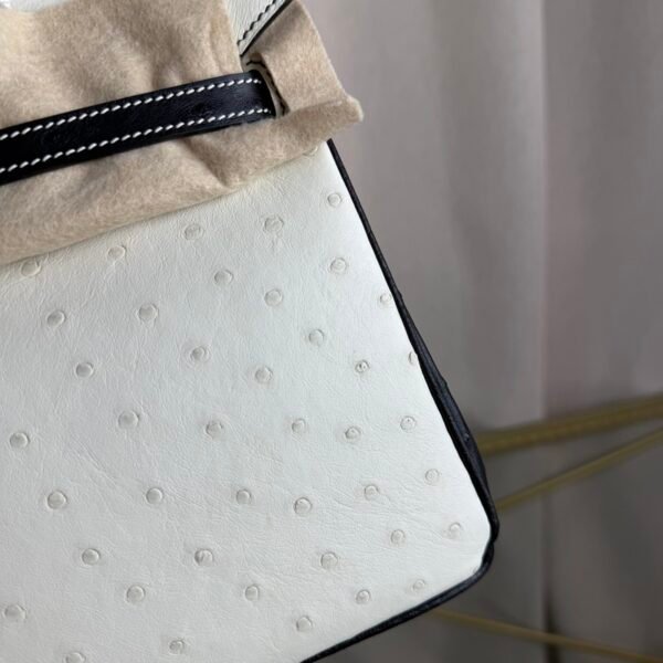 Birkin 25 Retourne Style Blanc Black Ostrich Palladium Hardware bag