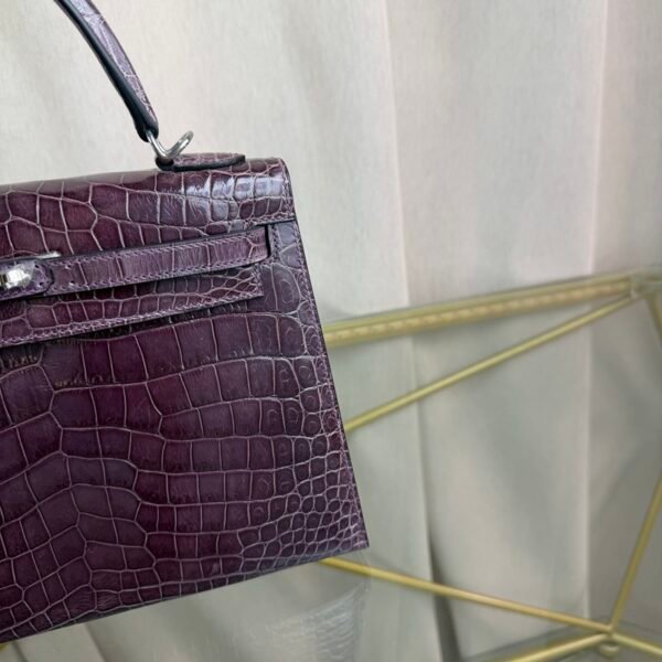 微信图片_20260801042648_736_27 Kelly Sellier 25 Cassis Shiny Crocodile Palladium Hardware bag