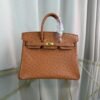 Birkin-25-Gold-Ostrich-Gold-Hardware Birkin 25 Gold Ostrich Gold Hardware bag