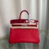 Birkin 25 Retourne Style Braise Togo and Shiny Niloticus Crocodile Touch Palladium Hardware bag