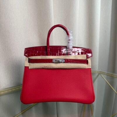 Birkin 25 Retourne Style Braise Togo and Shiny Niloticus Crocodile Touch Palladium Hardware bag