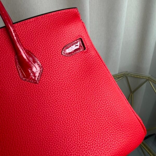 Birkin 25 Retourne Style Braise Togo and Shiny Niloticus Crocodile Touch Palladium Hardware bag