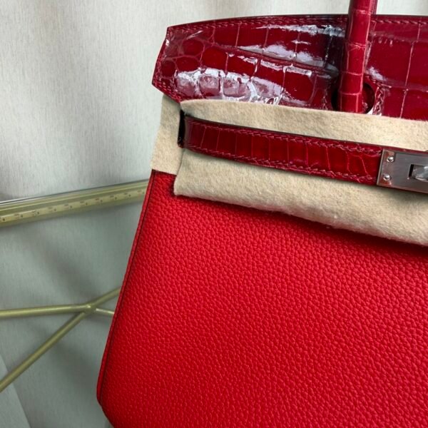 Birkin 25 Retourne Style Braise Togo and Shiny Niloticus Crocodile Touch Palladium Hardware bag
