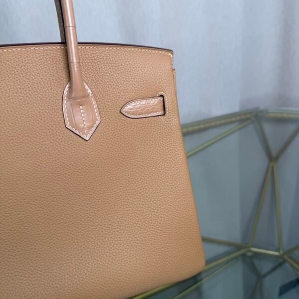 Birkin 30 Retourne Style Biscuit Togo and Alligator Touch Gold Hardware