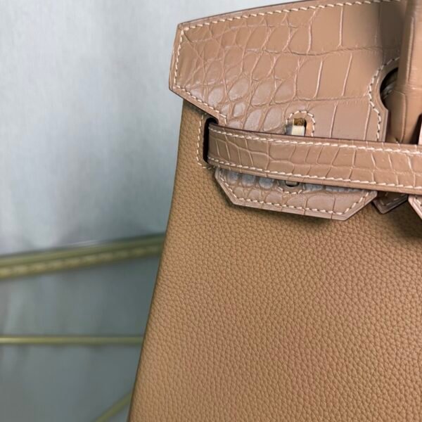 Birkin 30 Retourne Style Biscuit Togo and Alligator Touch Gold Hardware