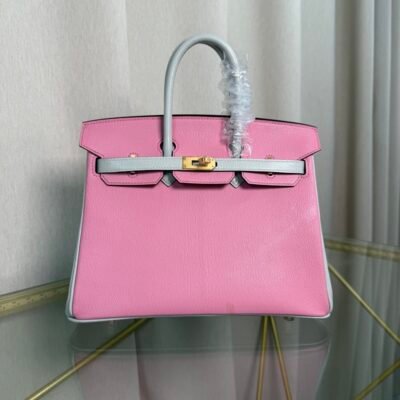 Birkin 25 Retourne Style Mauve Sylvestre and Gris Perle Chevre Mysore Brushed Gold Hardware