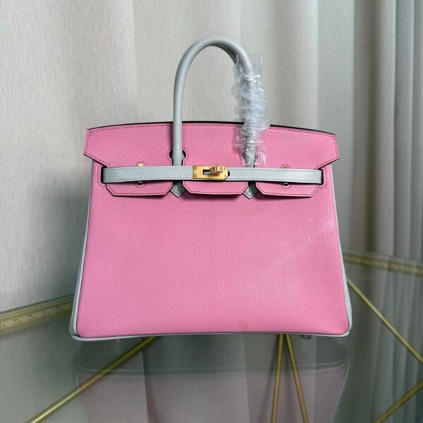 Birkin 25 Retourne Style Mauve Sylvestre and Gris Perle Chevre Mysore Brushed Gold Hardware