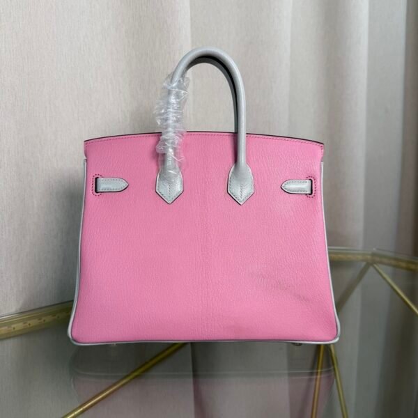 Birkin 25 Retourne Style Mauve Sylvestre and Gris Perle Chevre Mysore Brushed Gold Hardware