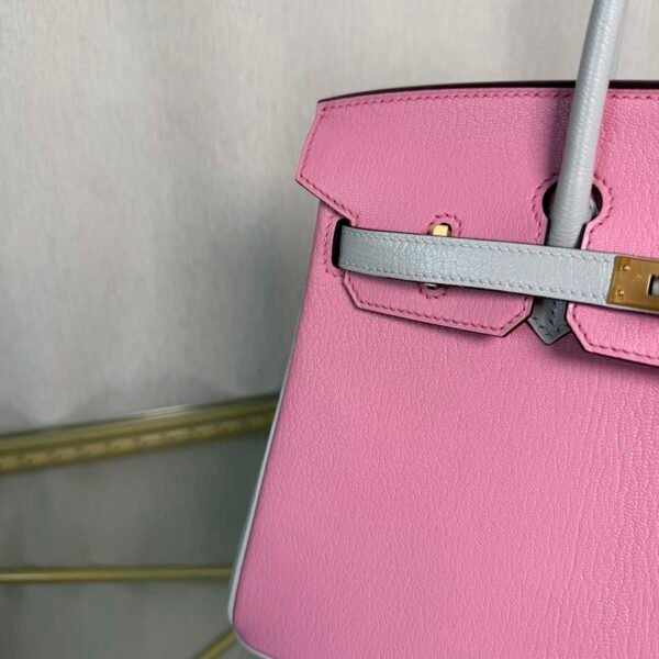 Birkin 25 Retourne Style Mauve Sylvestre and Gris Perle Chevre Mysore Brushed Gold Hardware