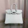 Birkin 25 Retourne Style Vert Fizz Chèvre Mysore with Palladium Hardware