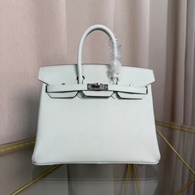 Birkin 25 Retourne Style Vert Fizz Chèvre Mysore with Palladium Hardware