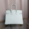 Birkin 25 Retourne Style Vert Fizz Chèvre Mysore with Palladium Hardware