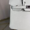 Birkin 25 Retourne Style Vert Fizz Chèvre Mysore with Palladium Hardware