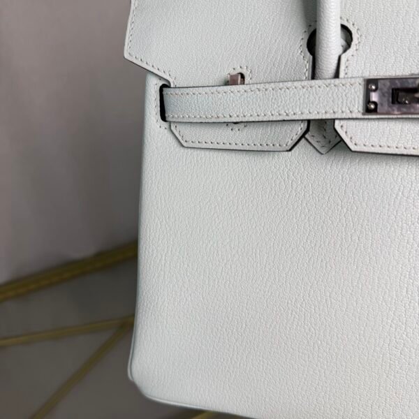 Birkin 25 Retourne Style Vert Fizz Chèvre Mysore with Palladium Hardware