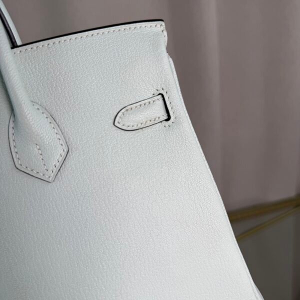 Birkin 25 Retourne Style Vert Fizz Chèvre Mysore with Palladium Hardware